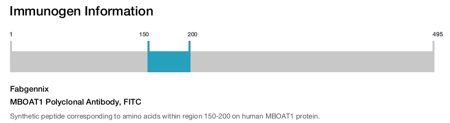 MBOAT1 Polyclonal Antibody, FITC