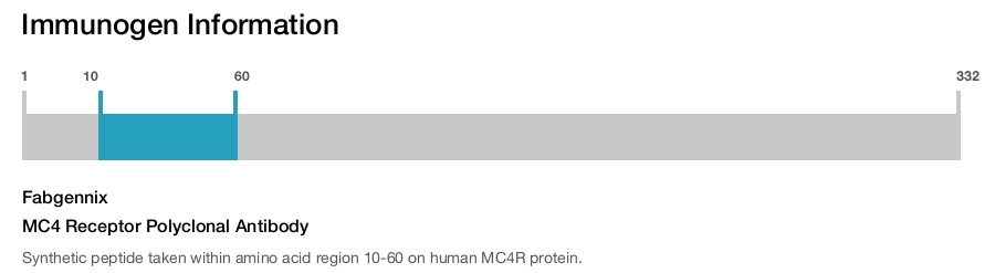 MC4 Receptor Polyclonal Antibody