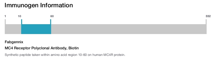 MC4 Receptor Polyclonal Antibody, Biotin