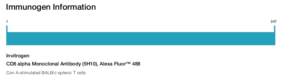 CD8 alpha Monoclonal Antibody (5H10), Alexa Fluor™ 488