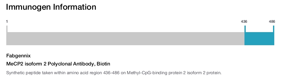MeCP2 isoform 2 Polyclonal Antibody, Biotin