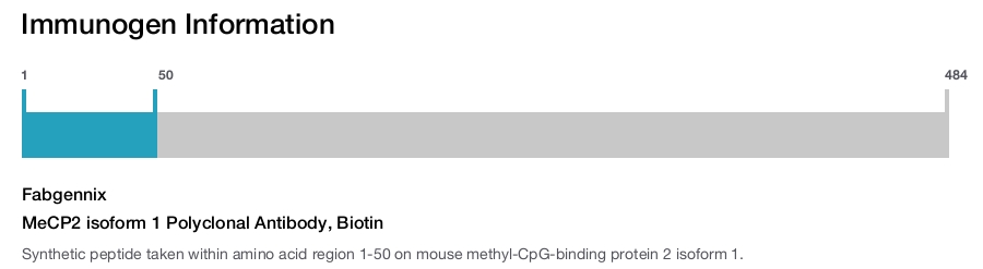 MeCP2 isoform 1 Polyclonal Antibody, Biotin