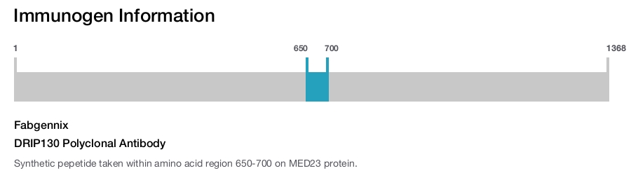 DRIP130 Polyclonal Antibody