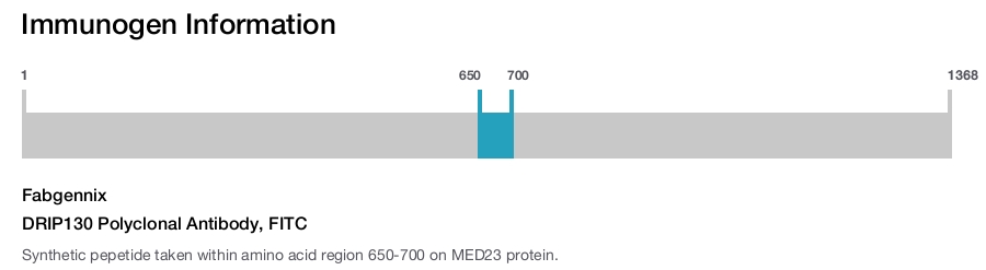 DRIP130 Polyclonal Antibody, FITC