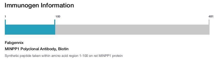 MINPP1 Polyclonal Antibody, Biotin