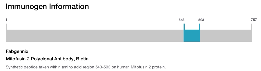Mitofusin 2 Polyclonal Antibody, Biotin