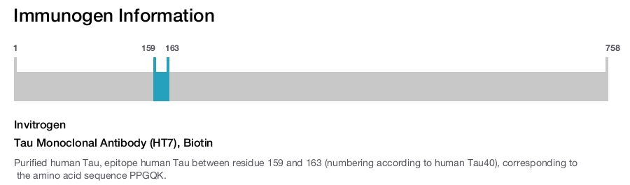 Tau Monoclonal Antibody (HT7), Biotin