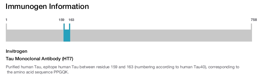 Tau Monoclonal Antibody (HT7)