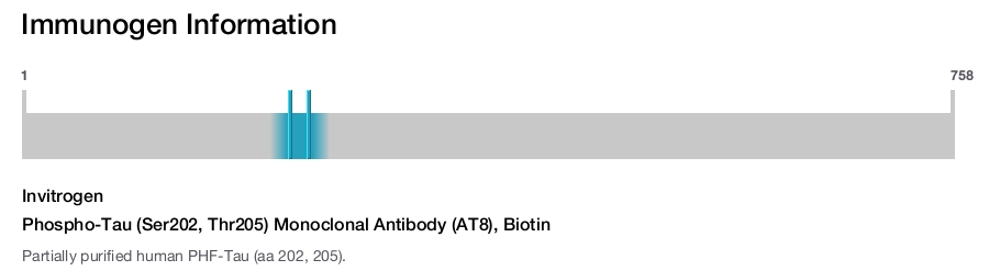 Phospho-Tau (Ser202, Thr205) Monoclonal Antibody (AT8), Biotin