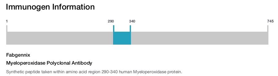 Myeloperoxidase Polyclonal Antibody