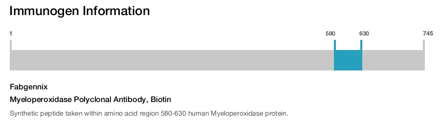 Myeloperoxidase Polyclonal Antibody, Biotin