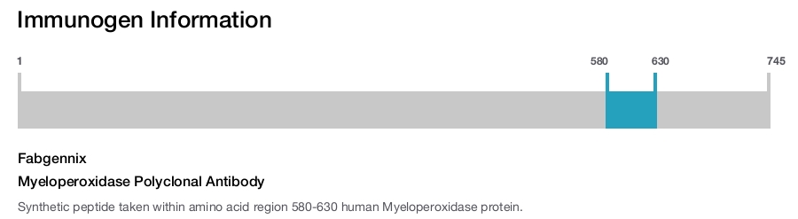 Myeloperoxidase Polyclonal Antibody