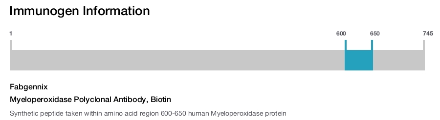Myeloperoxidase Polyclonal Antibody, Biotin