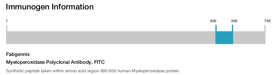 Myeloperoxidase Polyclonal Antibody, FITC