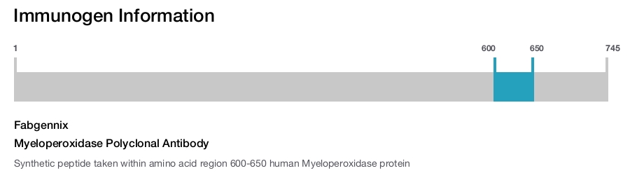 Myeloperoxidase Polyclonal Antibody
