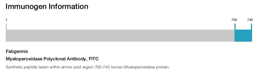 Myeloperoxidase Polyclonal Antibody, FITC
