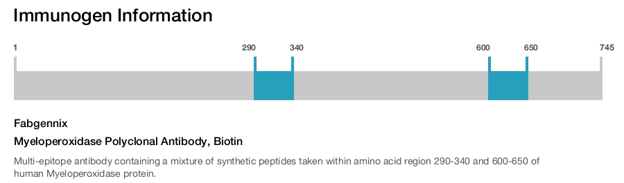Myeloperoxidase Polyclonal Antibody, Biotin