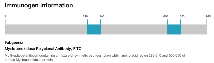 Myeloperoxidase Polyclonal Antibody, FITC