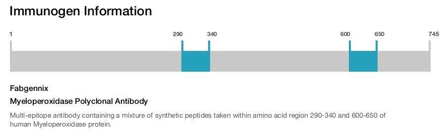 Myeloperoxidase Polyclonal Antibody