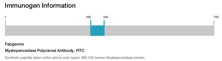 Myeloperoxidase Polyclonal Antibody, FITC