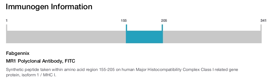 MR1 Polyclonal Antibody, FITC