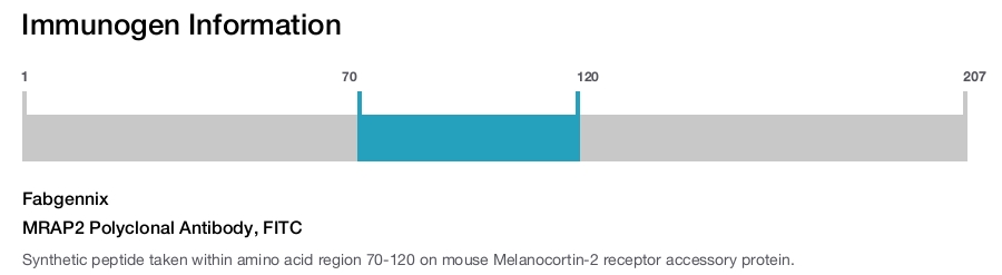 MRAP2 Polyclonal Antibody, FITC