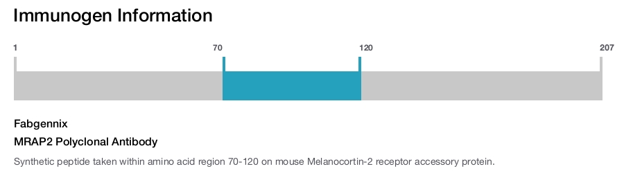MRAP2 Polyclonal Antibody