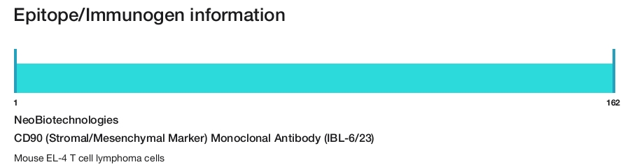 CD90 (Stromal/Mesenchymal Marker) Monoclonal Antibody (IBL-6/23)