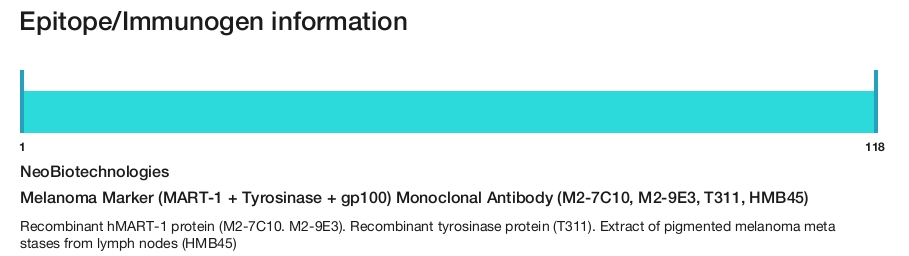 Melanoma Marker (MART-1 + Tyrosinase + gp100) Monoclonal Antibody (M2-7C10, M2-9E3, T311, HMB45)