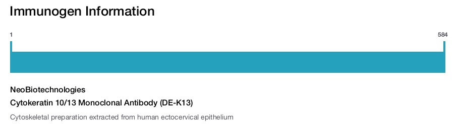 Cytokeratin 10/13 Monoclonal Antibody (DE-K13)