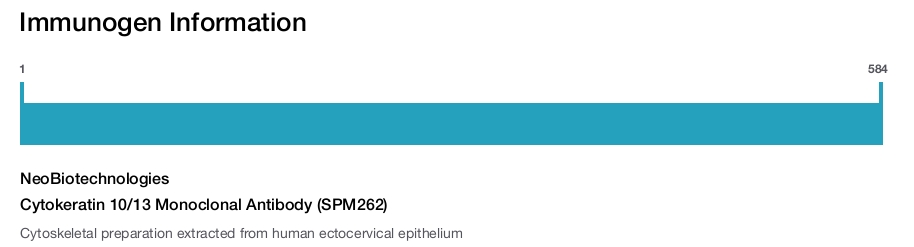 Cytokeratin 10/13 Monoclonal Antibody (SPM262)