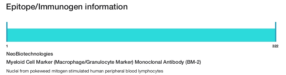 Myeloid Cell Marker (Macrophage/Granulocyte Marker) Monoclonal Antibody (BM-2)