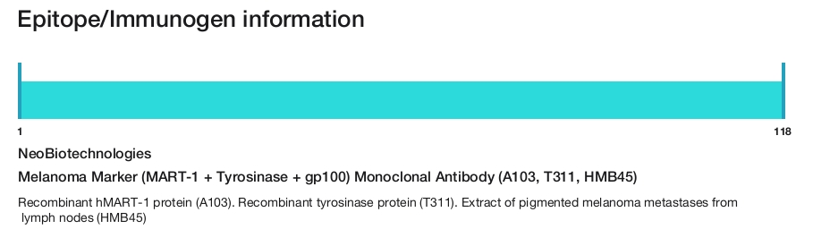 Melanoma Marker (MART-1 + Tyrosinase + gp100) Monoclonal Antibody (A103, T311, HMB45)