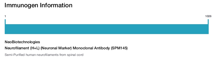 Neurofilament (H+L) (Neuronal Marker) Monoclonal Antibody (SPM145)