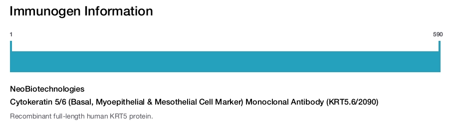 Cytokeratin 5/6 (Basal, Myoepithelial & Mesothelial Cell Marker) Monoclonal Antibody (KRT5.6/2090)