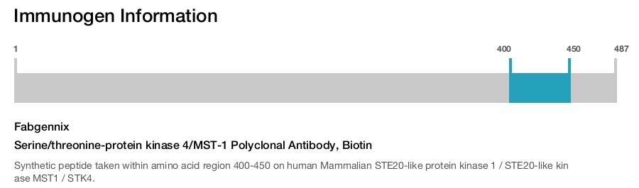Serine/threonine-protein kinase 4/MST-1 Polyclonal Antibody, Biotin