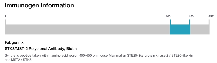 STK3/MST-2 Polyclonal Antibody, Biotin