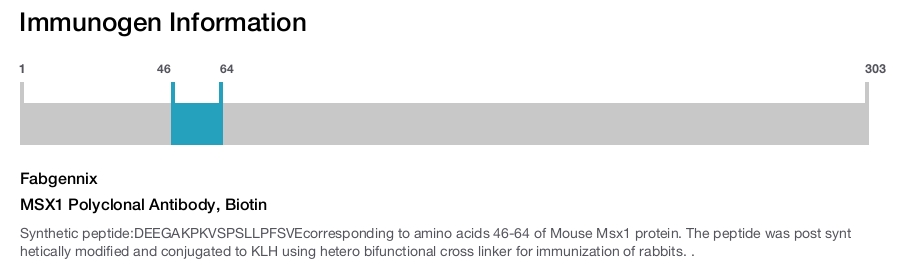 MSX1 Polyclonal Antibody, Biotin