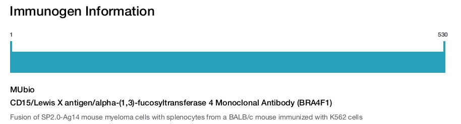 CD15/Lewis X antigen/alpha-(1,3)-fucosyltransferase 4 Monoclonal Antibody (BRA4F1)