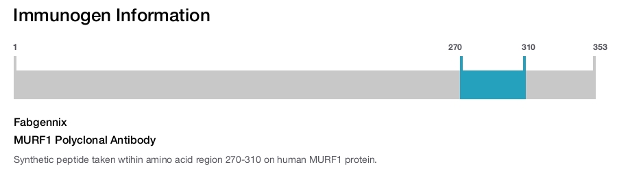 MURF1 Polyclonal Antibody