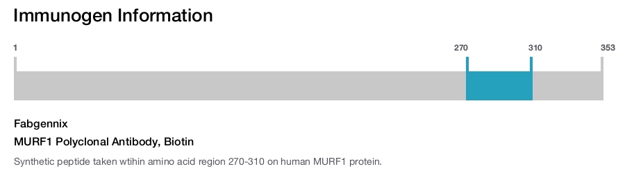 MURF1 Polyclonal Antibody, Biotin