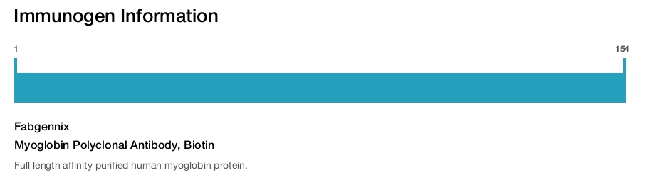Myoglobin Polyclonal Antibody, Biotin