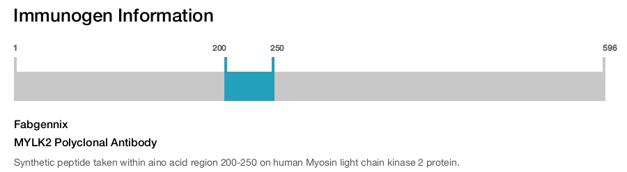 MYLK2 Polyclonal Antibody