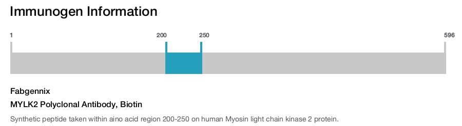 MYLK2 Polyclonal Antibody, Biotin