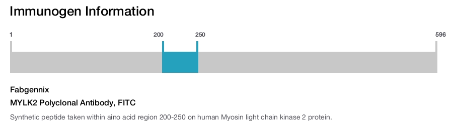 MYLK2 Polyclonal Antibody, FITC