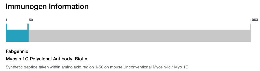 Myosin 1C Polyclonal Antibody, Biotin