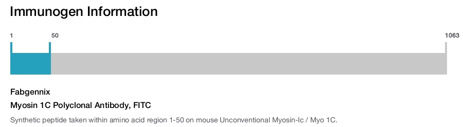 Myosin 1C Polyclonal Antibody, FITC