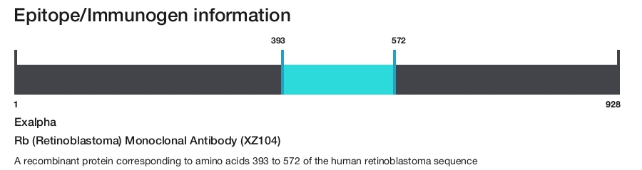 Rb (Retinoblastoma) Monoclonal Antibody (XZ104)