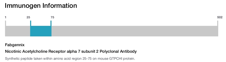 Nicotinic Acetylcholine Receptor alpha 7 subunit 2 Polyclonal Antibody