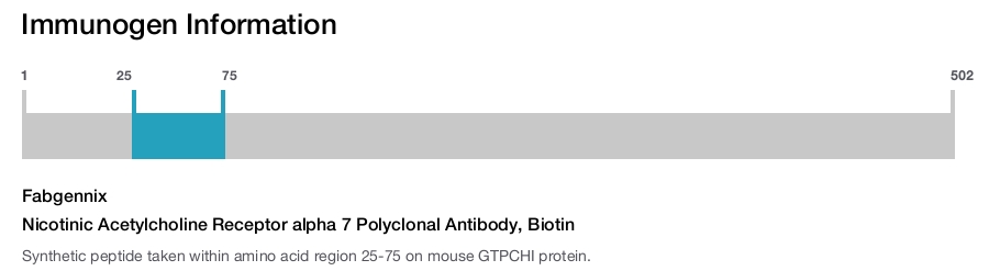 Nicotinic Acetylcholine Receptor alpha 7 Polyclonal Antibody, Biotin